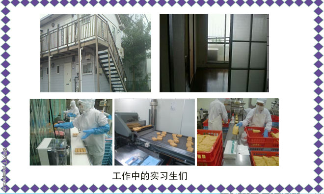 杏耀娱乐官方网站图片