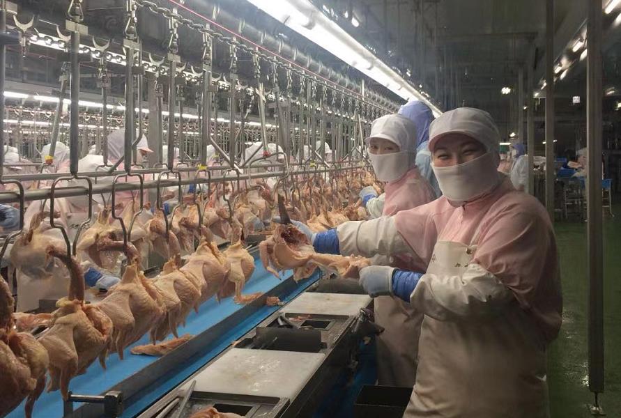 杏耀娱乐官方网站图片