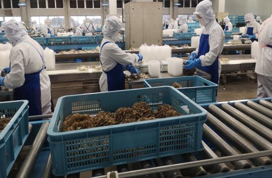 杏耀娱乐官方网站图片