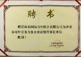 公司荣誉